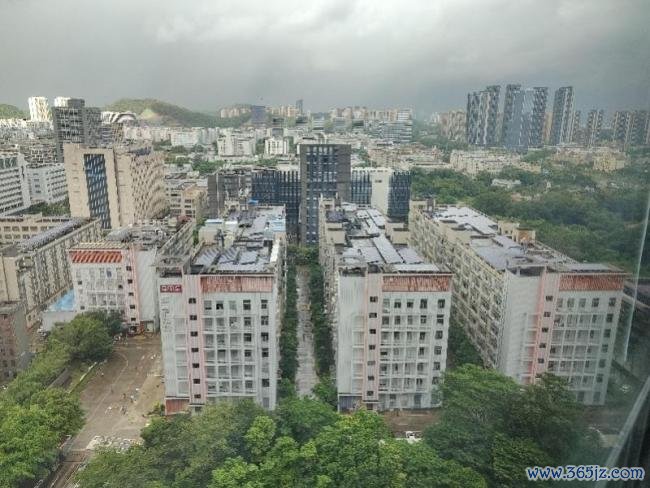 业主称饱受工业噪声困扰 官方回应 多部门督促降噪整改