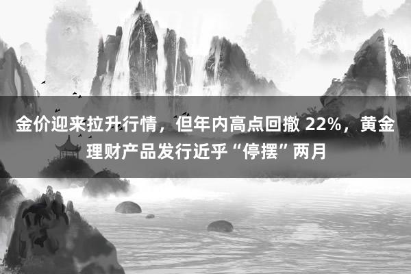 金价迎来拉升行情，但年内高点回撤 22%，黄金理财产品发行近乎“停摆”两月