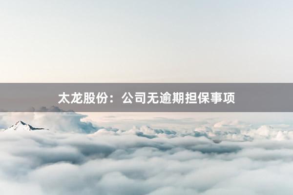 太龙股份：公司无逾期担保事项
