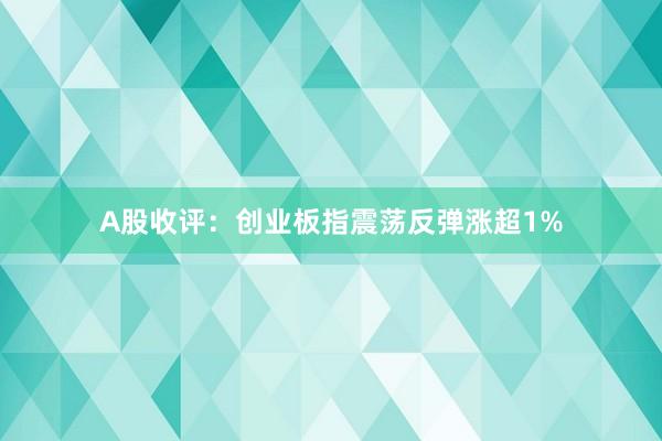 A股收评：创业板指震荡反弹涨超1%