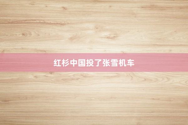 红杉中国投了张雪机车