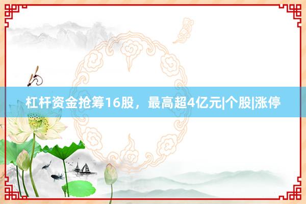 杠杆资金抢筹16股，最高超4亿元|个股|涨停