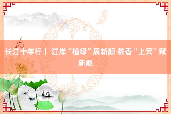 长江十年行丨 江岸“植绿”展新颜 茶香“上云”赋新能