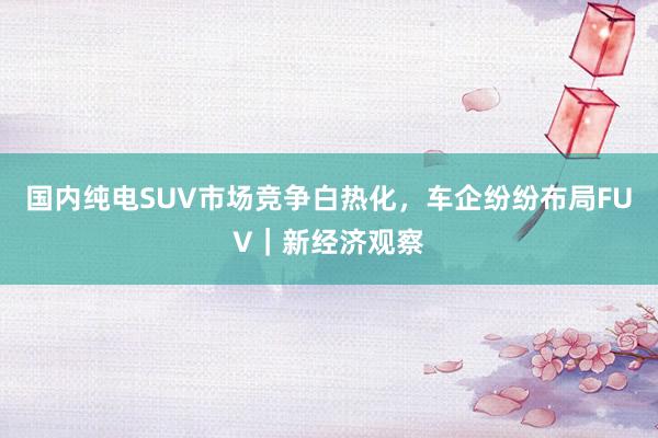 国内纯电SUV市场竞争白热化，车企纷纷布局FUV｜新经济观察