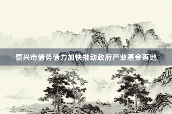 嘉兴市借势借力加快推动政府产业基金落地