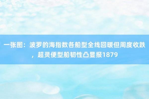 一张图：波罗的海指数各船型全线回暖但周度收跌，超灵便型船韧性凸显报1879