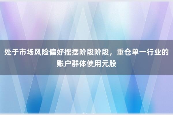 处于市场风险偏好摇摆阶段阶段，重仓单一行业的账户群体使用元股
