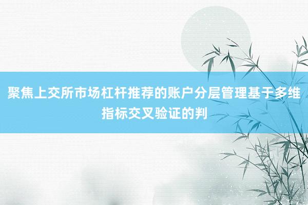 聚焦上交所市场杠杆推荐的账户分层管理基于多维指标交叉验证的判