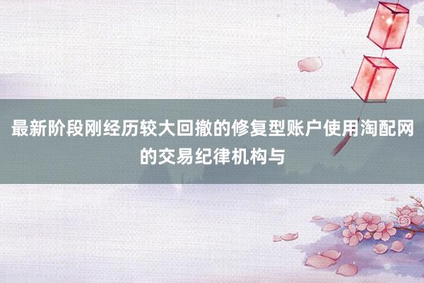 最新阶段刚经历较大回撤的修复型账户使用淘配网的交易纪律机构与