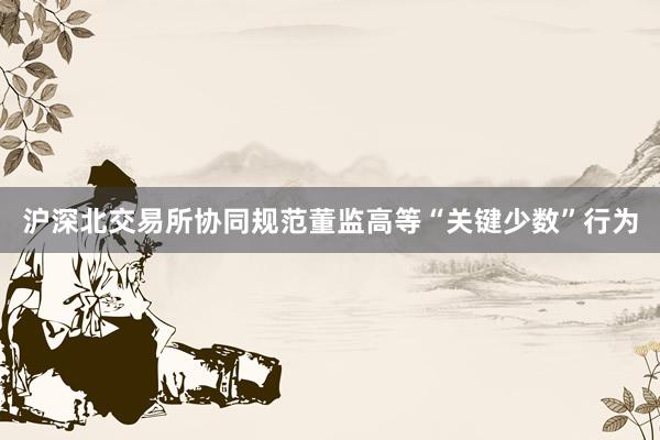 沪深北交易所协同规范董监高等“关键少数”行为