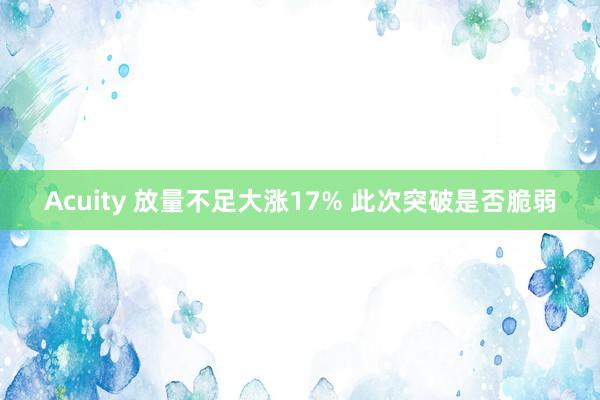 Acuity 放量不足大涨17% 此次突破是否脆弱