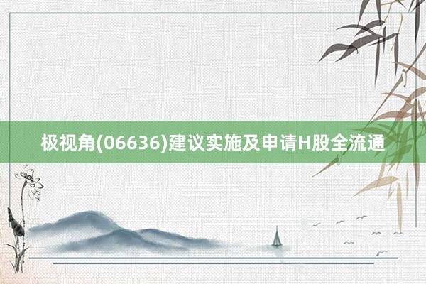 极视角(06636)建议实施及申请H股全流通