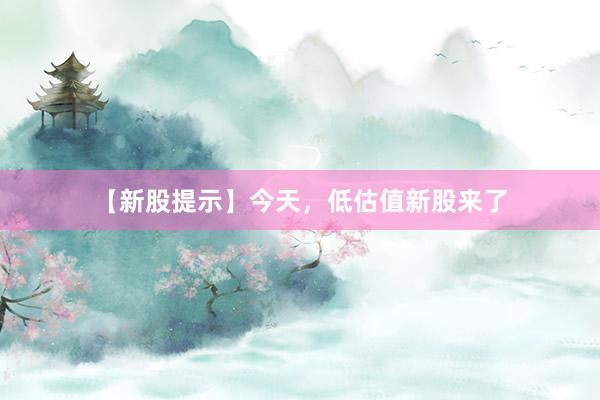 【新股提示】今天，低估值新股来了