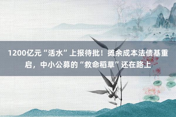 1200亿元“活水”上报待批！摊余成本法债基重启，中小公募的“救命稻草”还在路上