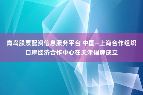 青岛股票配资信息服务平台 中国—上海合作组织口岸经济合作中心在天津揭牌成立