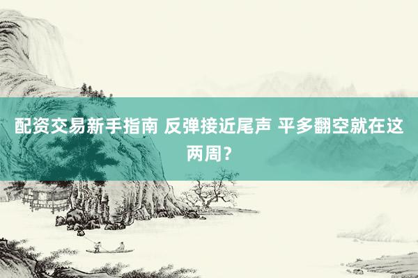配资交易新手指南 反弹接近尾声 平多翻空就在这两周？