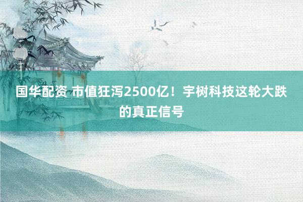 国华配资 市值狂泻2500亿！宇树科技这轮大跌的真正信号