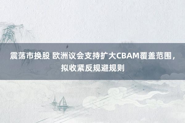 震荡市换股 欧洲议会支持扩大CBAM覆盖范围，拟收紧反规避规则