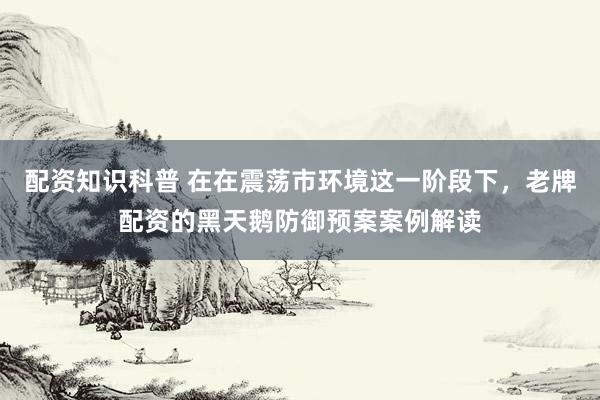 配资知识科普 在在震荡市环境这一阶段下，老牌配资的黑天鹅防御预案案例解读