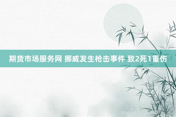 期货市场服务网 挪威发生枪击事件 致2死1重伤