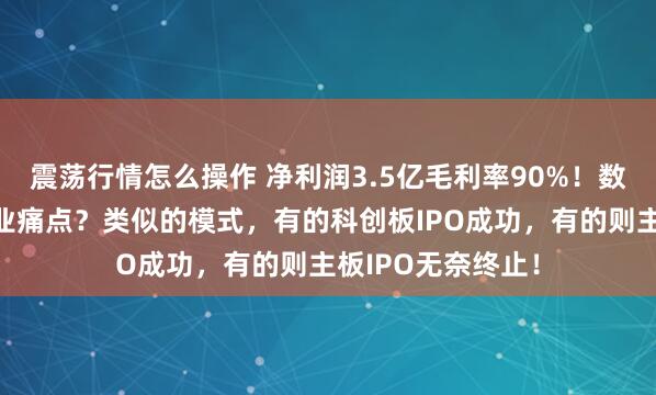 震荡行情怎么操作 净利润3.5亿毛利率90%！数据信息安全的行业痛点？类似的模式，有的科创板IPO成功，有的则主板IPO无奈终止！