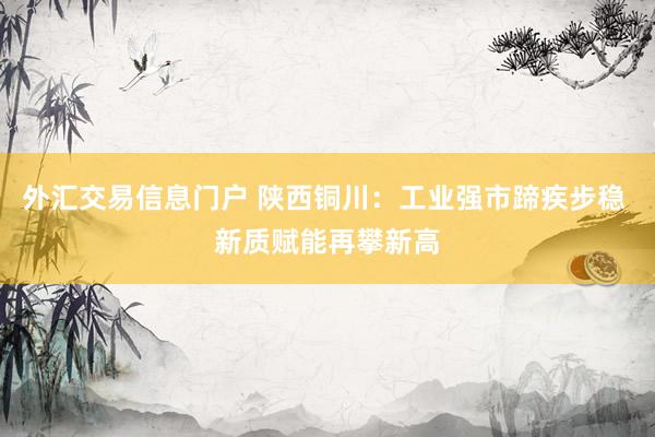 外汇交易信息门户 陕西铜川:工业强市蹄疾步稳 新质赋能再攀新高