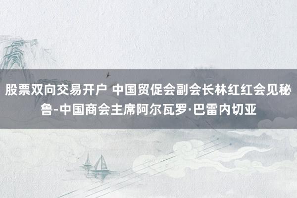 股票双向交易开户 中国贸促会副会长林红红会见秘鲁-中国商会主席阿尔瓦罗·巴雷内切亚