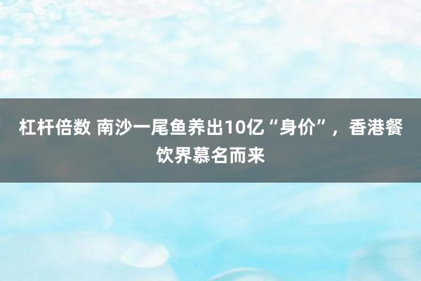 杠杆倍数 南沙一尾鱼养出10亿“身价”，香港餐饮界慕名而来