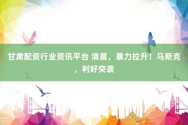 甘肃配资行业资讯平台 清晨，暴力拉升！马斯克，利好突袭