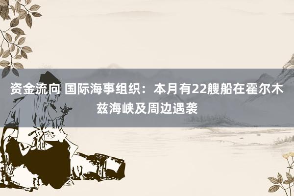 资金流向 国际海事组织：本月有22艘船在霍尔木兹海峡及周边遇袭